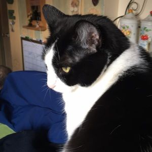 Meet your Posher, Janice